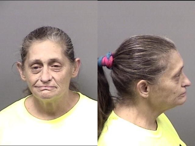 Bertha Delgado arrested Nov. 21 for felony petit theft with two or more convictions of any theft.